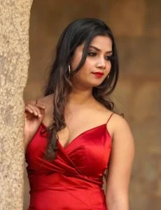 call girl service in Hansot